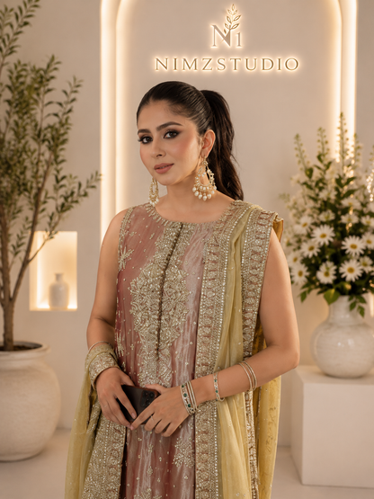 Ayesha Makda Inspired Luxury Embroidered Pakistani Party Wear Dress
