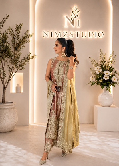 Ayesha Makda Inspired Luxury Pakistani Party Wear Dress with Hand Embroidery