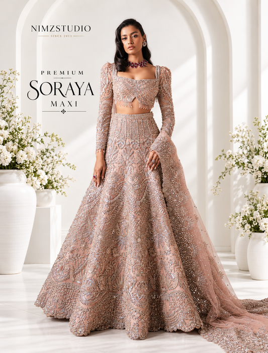 pakistani dress formal Party Wear Dresses elegant pakistani wedding guest dresses
