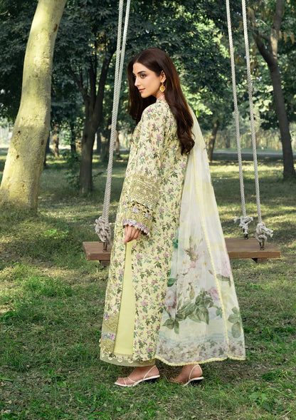 Eyra - Pure Chiffon Dupatta