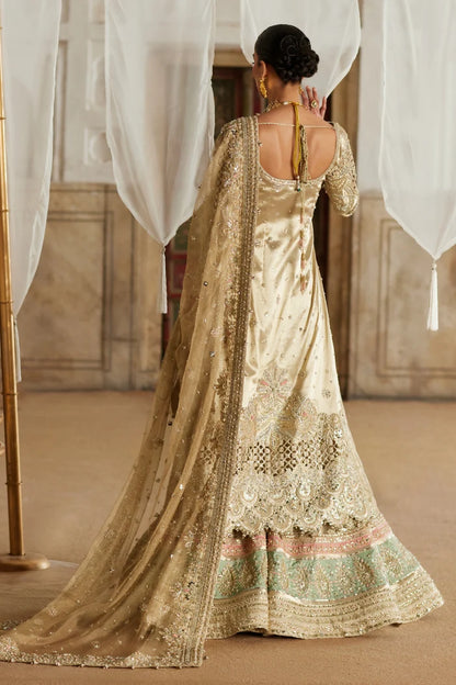 Luxury Pakistani wedding wear sharara dress back view with embroidered net dupatta