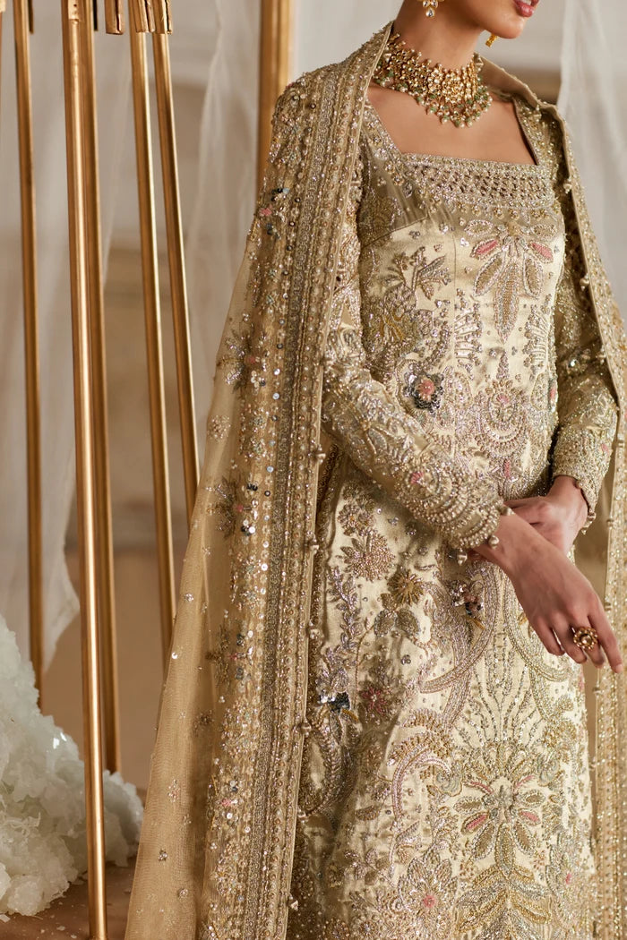 Pakistani designer dress close up with Dabka Nakshi handwork on net and zari lama fabric