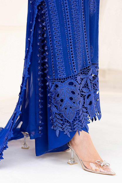 D3 - Embroidered Chiffon - 2025