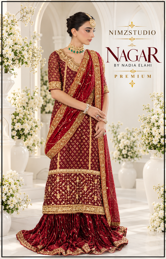 Nagar by Nadia Elahi ready-to-wear chiffon dupatta featuring exclusive Matha Patti style stone work