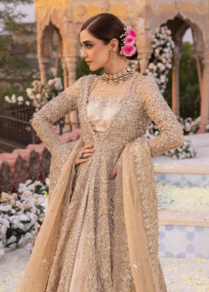 Kanwal Malik Mirani embroidered net maxi full length Pakistani party wear