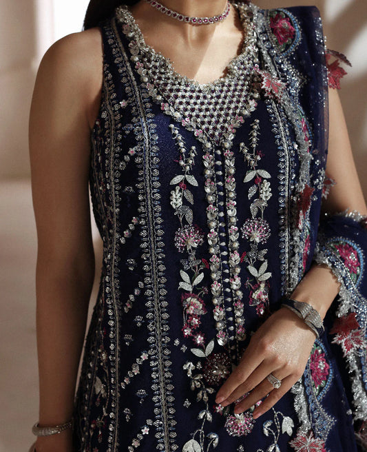 Clarisse luxury net maxi intricate multicolor embroidery detail