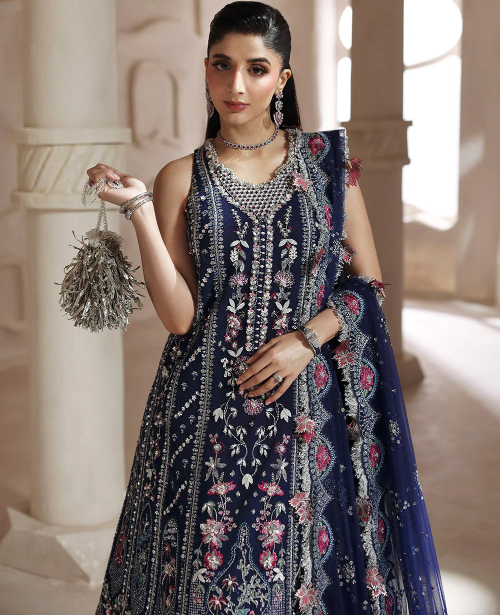 Clarisse luxury Pakistani party wear net maxi front view