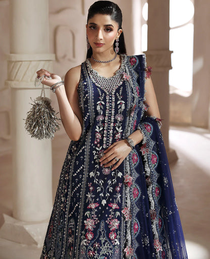 Clarisse luxury Pakistani party wear net maxi front view