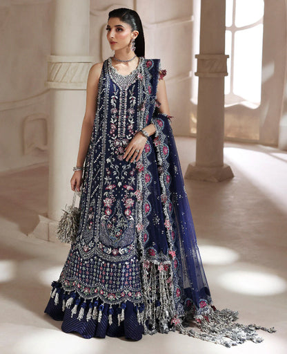 Clarisse Pakistani designer embroidered net maxi dress with dupatta
