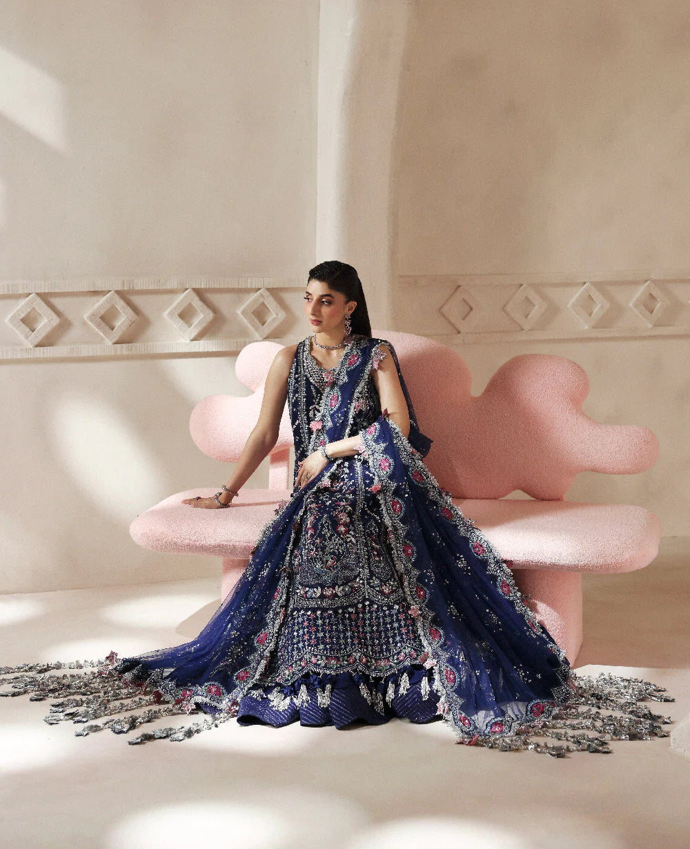 Clarisse embroidered Pakistani wedding wear net gown with dupatta