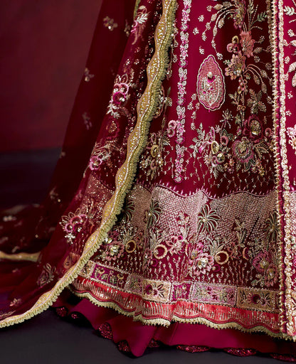 Silene Pakistani pishwas embroidered net dupatta and border detail