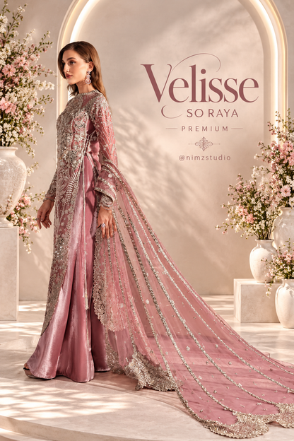 Soraya Velisse luxury dusty rose organza formal dress with hand embellishments and embroidered dupatta